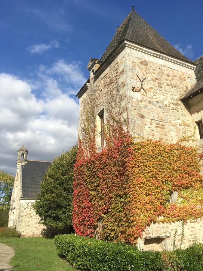 Bed and Breakfast Manoir De Jouralem Blaison Exterior foto